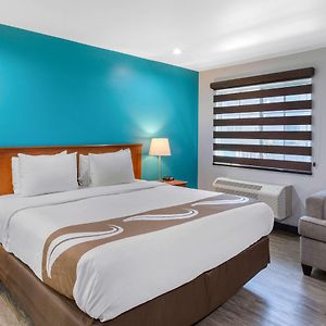 Standard Room 1 King Bed Non Smoking